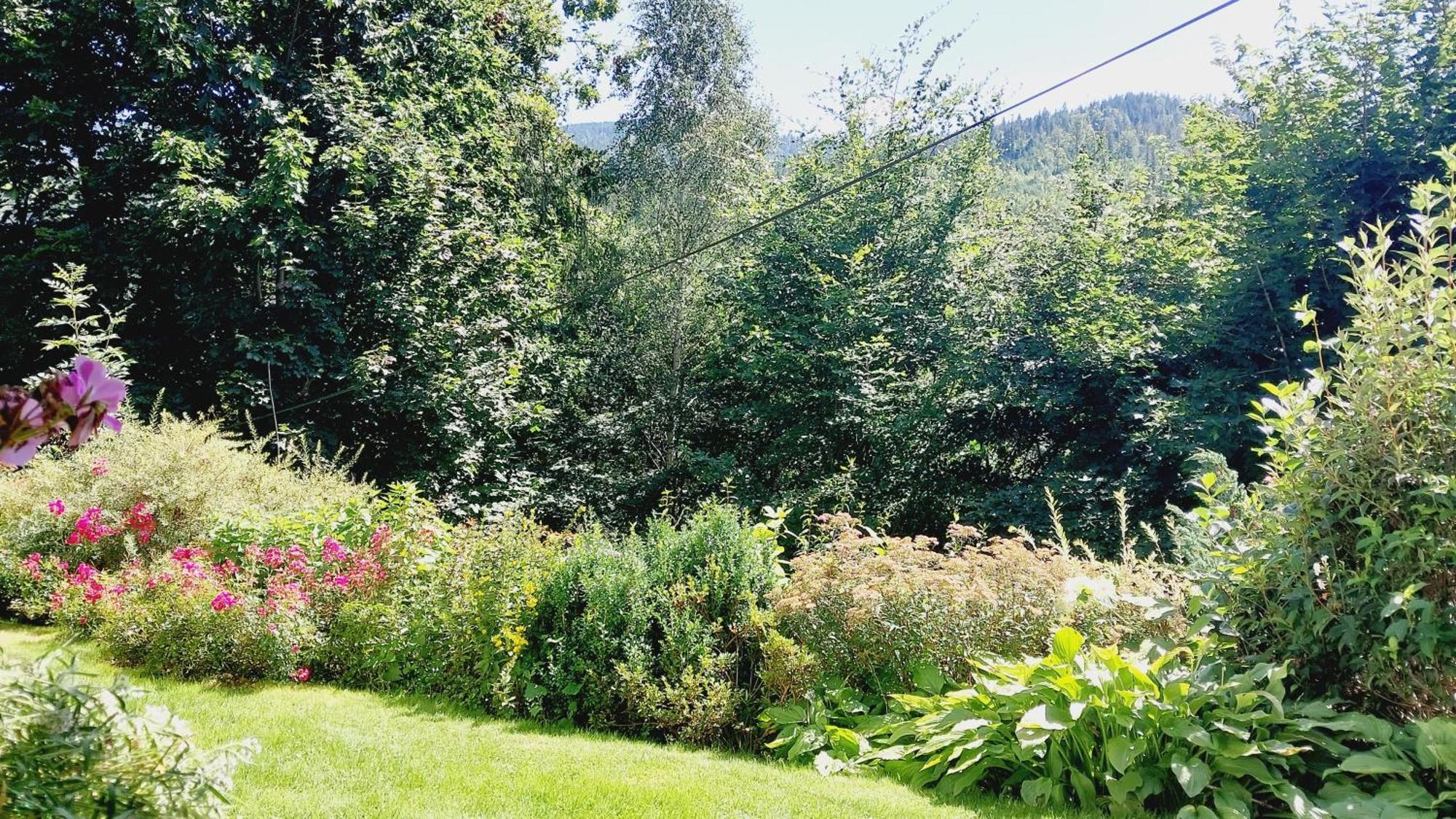 Agroturystyka Jelenia Visla Pokoj fotografie